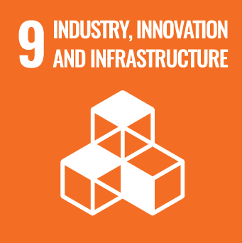 SDG 9