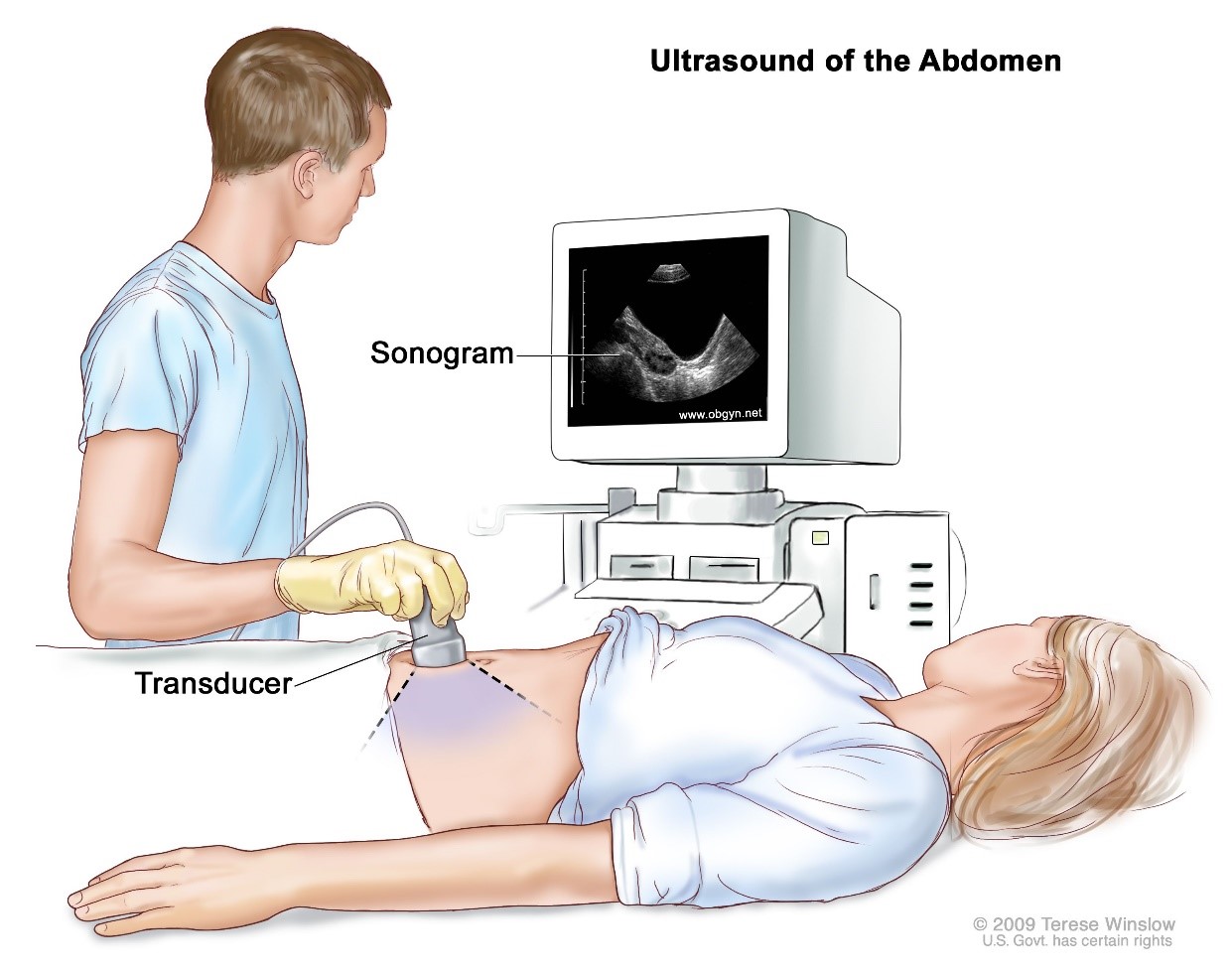 การตรวจอัลตราซาวน์ช่องท้อง (Ultrasound abdomen)