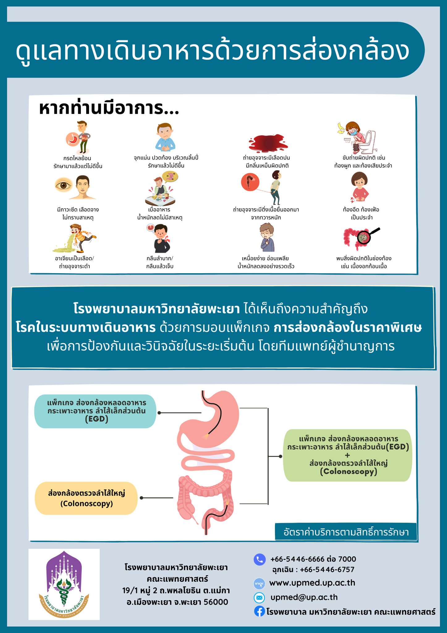 ดูแลทางเดินอาหารด้วยการส่องกล้อง